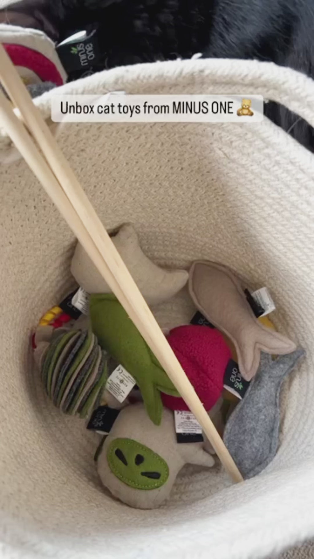 可愛小夥伴貓玩具 - 貓頭鷹
