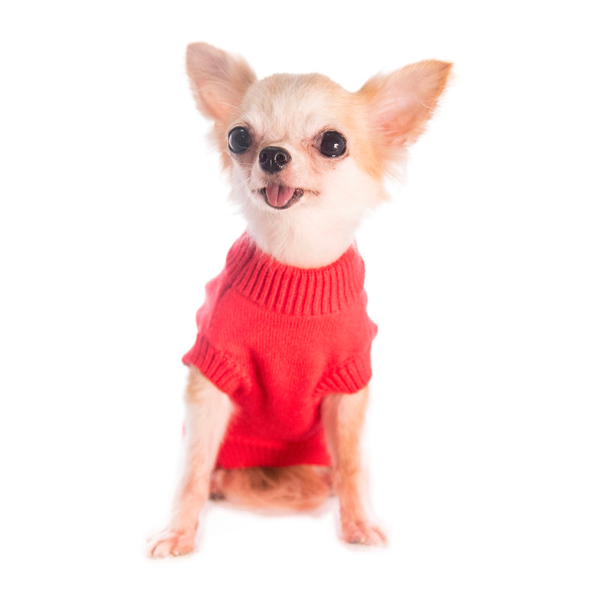 Pet Sweater Chinese New Year Lion Wake Pattern S644RD